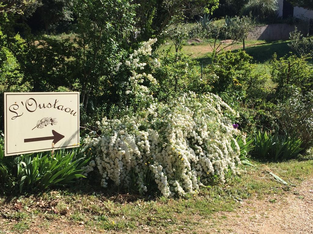 L'Oustaou B&B Piscine & Spa Besse-sur-Issole Buitenkant foto