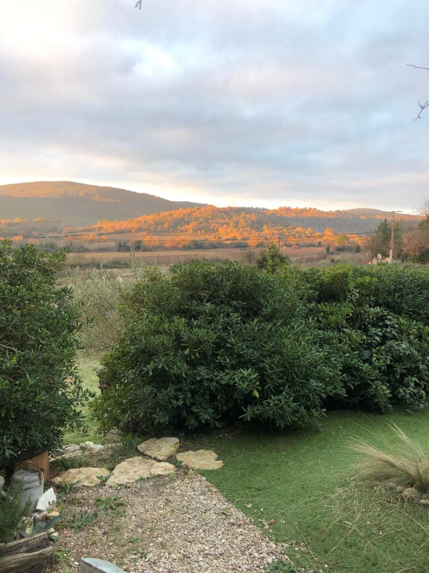 L'Oustaou B&B Piscine & Spa Besse-sur-Issole Buitenkant foto