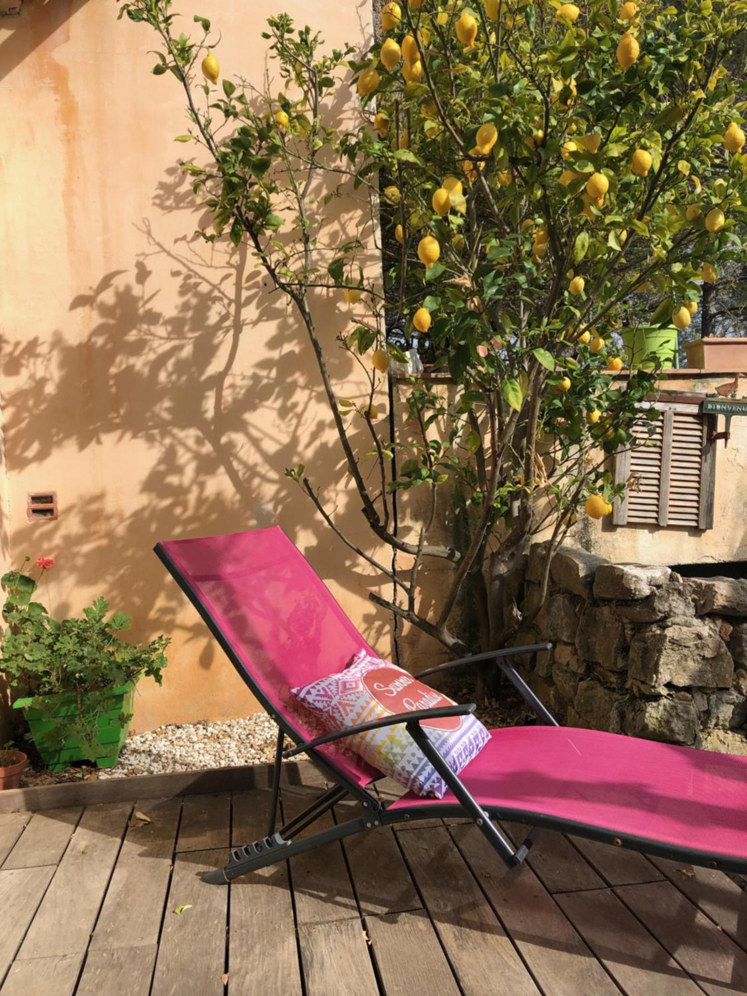 L'Oustaou B&B Piscine & Spa Besse-sur-Issole Buitenkant foto