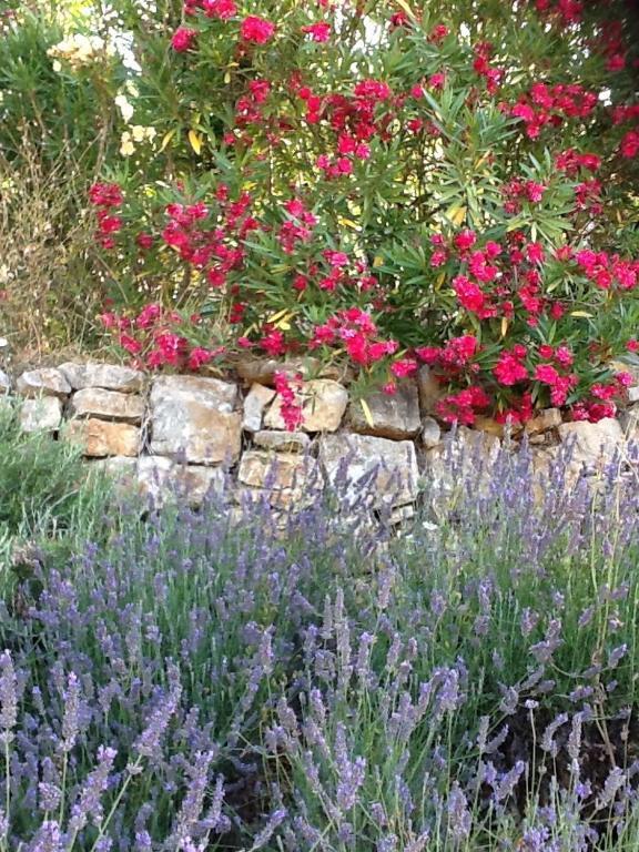 L'Oustaou B&B Piscine & Spa Besse-sur-Issole Buitenkant foto